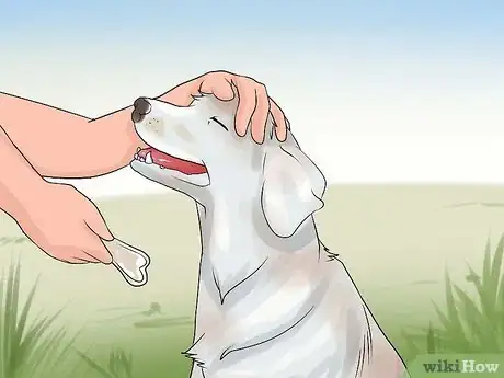 Imagen titulada Train a Dog to Pee Outside Step 4