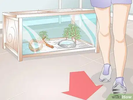 Imagen titulada Feed a Corn Snake Step 9