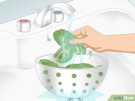 Imagen titulada Wash Spinach Step 10