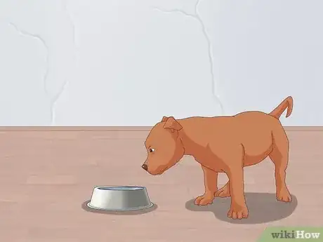 Imagen titulada Feed an American Bully Puppy Step 6