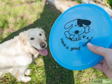 Imagen titulada Teach a Dog How to Catch a Frisbee Step 1