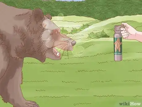 Imagen titulada Keep Bears Away Step 23