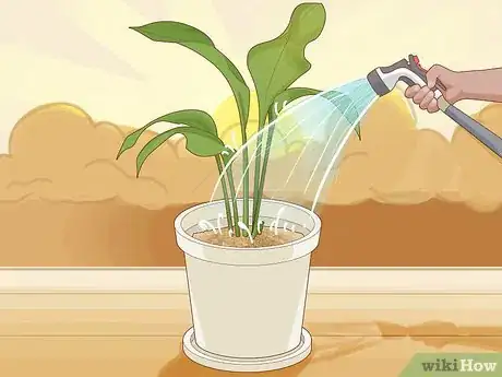 Imagen titulada Save an Overwatered Plant Step 16