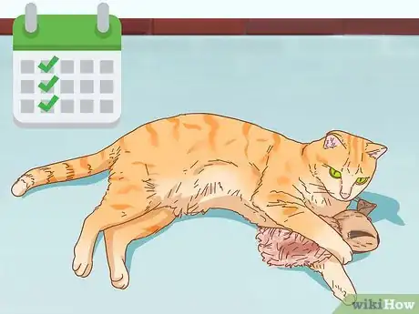 Imagen titulada Give Catnip to Your Cat Step 10