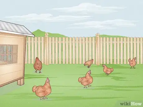 Imagen titulada Prevent Diseases in Chickens Step 6
