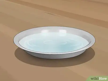 Imagen titulada Make a Flea Trap Step 1
