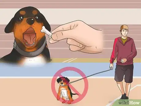 Imagen titulada Start Walking Your Puppy Step 13