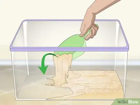 Imagen titulada Breed Isopods Step 1