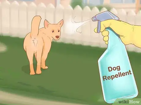 Imagen titulada Keep Dogs off Lawn Step 10