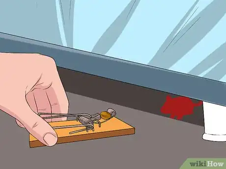 Imagen titulada Catch a Mouse Step 4