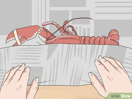 Imagen titulada Store Live Lobster Step 5