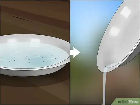 Imagen titulada Make a Flea Trap Step 5