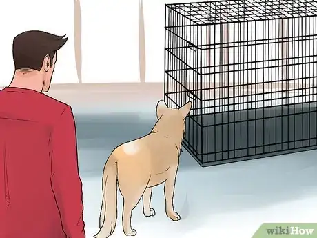 Imagen titulada Train a Dog to Pee Outside Step 7