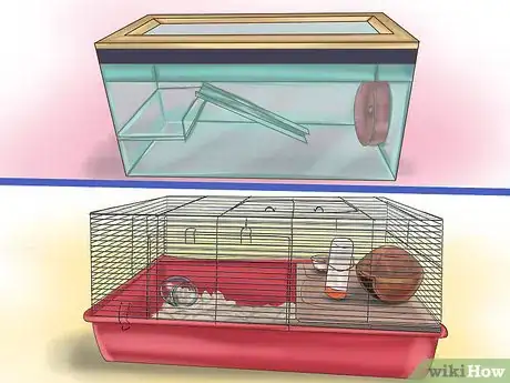 Imagen titulada Create a Bond With Your Hamster Step 1
