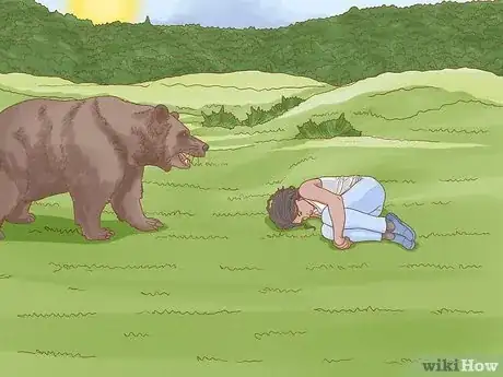 Imagen titulada Keep Bears Away Step 24