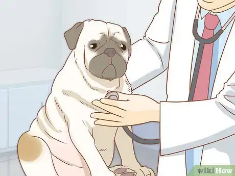 Imagen titulada Treat a Dog Who Ate Chocolate Step 3