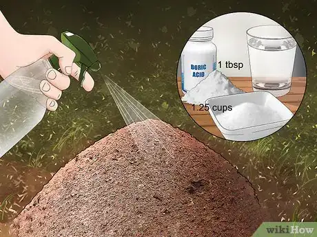 Imagen titulada Kill Ants Outside Step 6
