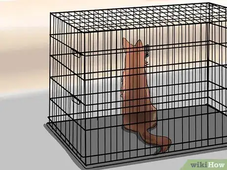 Imagen titulada Train a Dog to Pee Outside Step 9