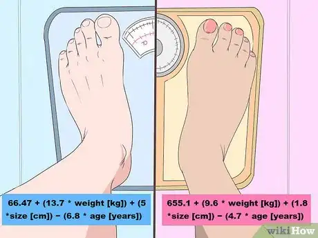 Imagen titulada Calculate How Many Calories You Need to Eat to Lose Weight Step 1