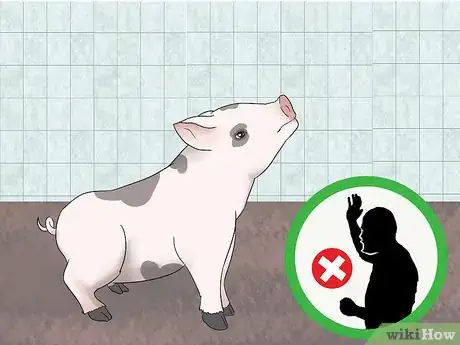 Imagen titulada House Train a Pig Step 12