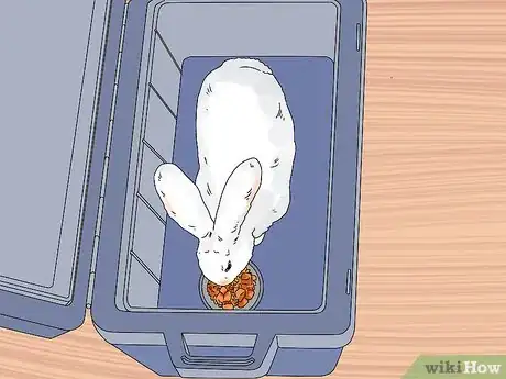 Imagen titulada Tell if Your Rabbit Has Weepy Eye Step 11
