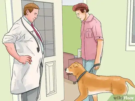 Imagen titulada Temperament Test a Dog Step 2
