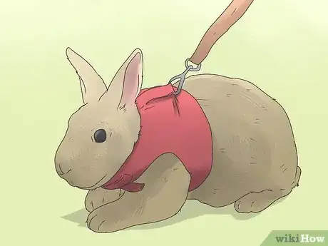 Imagen titulada Care for Mini Lop Rabbits Step 11