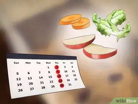 Imagen titulada Breed Hissing Cockroaches Step 10