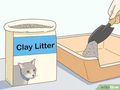 Imagen titulada Check Blood Sugar of a Cat Step 8