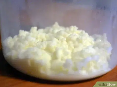 Imagen titulada Maintain Kefir Grains Step 5Bullet2