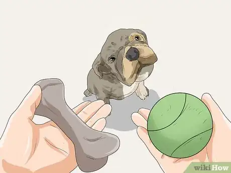 Imagen titulada Care for a Puppy when You Work Full Time Step 11