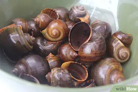 Imagen titulada Prepare Escargot Step 8