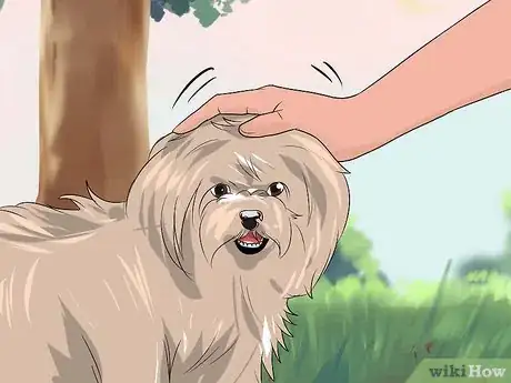 Imagen titulada Train a Dog to Pee Outside Step 5