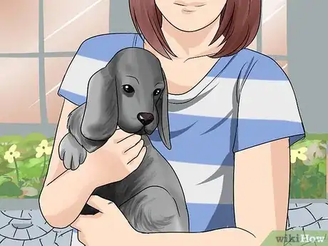 Imagen titulada Pick Up a Puppy Step 3