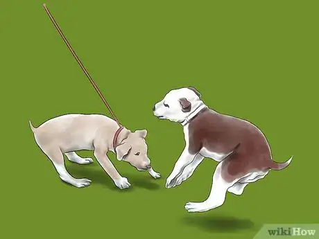 Imagen titulada Train a Pit Bull Step 13