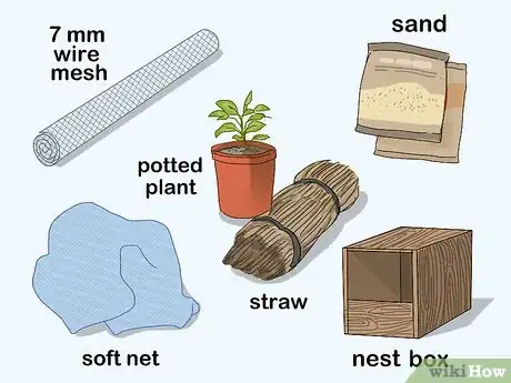 Imagen titulada Build a Quail Habitat Step 4