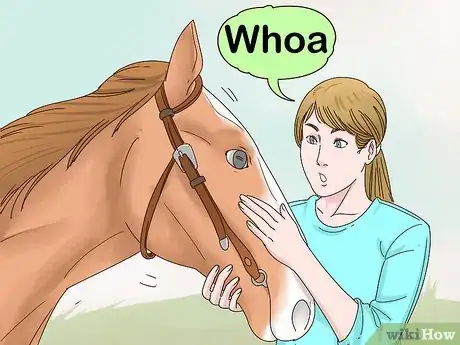 Imagen titulada Talk to Your Horse Step 6
