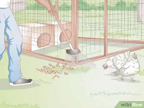 Imagen titulada Look After Baby Chicks Step 12
