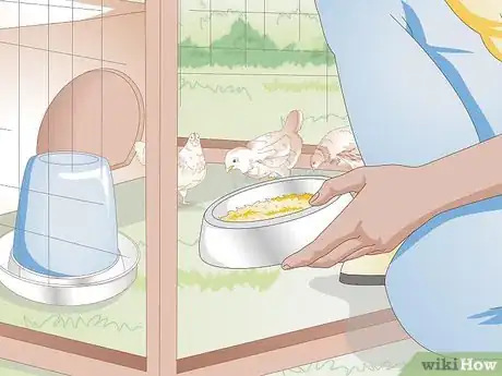 Imagen titulada Look After Baby Chicks Step 11