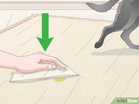 Imagen titulada Clean a Seagrass Rug Step 8