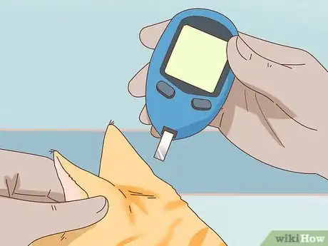 Imagen titulada Check Blood Sugar of a Cat Step 9