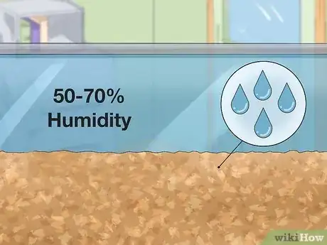 Imagen titulada Care for a Shedding Snake Step 4