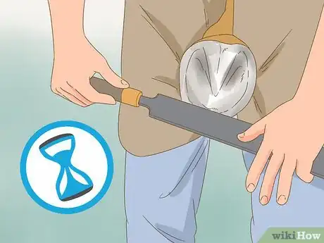 Imagen titulada Trim Horse Hooves Step 13