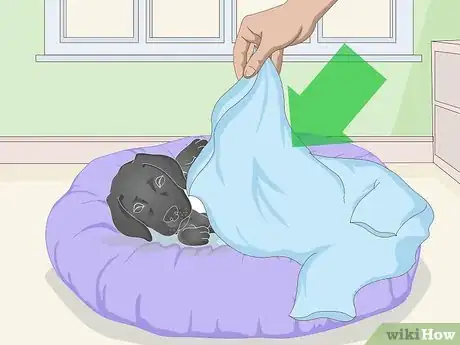 Imagen titulada Get a Puppy to Sleep Step 6