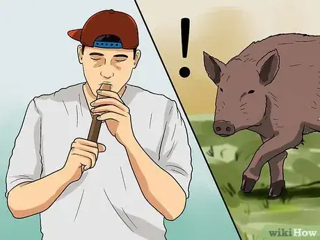 Imagen titulada Call the Hogs Step 1