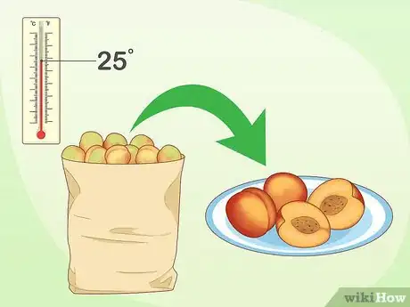 Imagen titulada Store Nectarines Step 1