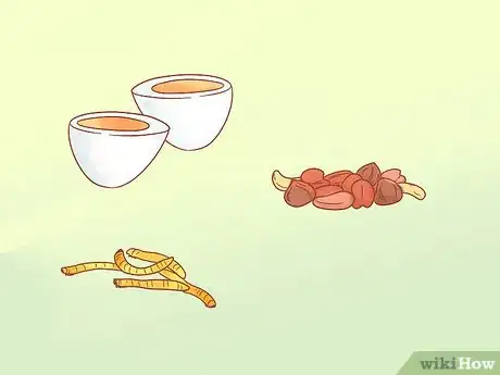 Imagen titulada Care for Your Pregnant Hamster Step 6