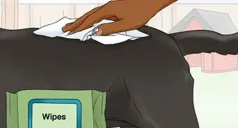 bañar a un perro sin champú