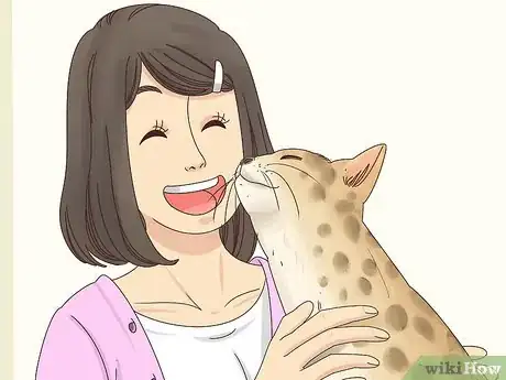 Imagen titulada Identify a Bengal Cat Step 5