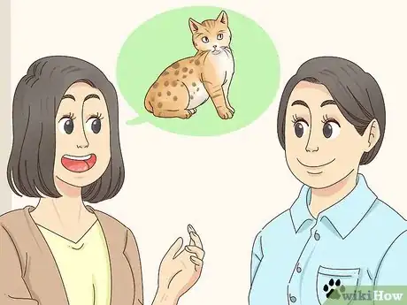 Imagen titulada Identify a Bengal Cat Step 7